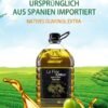 Olivenöl extra nativ 5L – spanisches Olivenöl kaltgepresst – extra virgin – natives Olivenöl aus Spanien – 100% natürlich – große Kanister – zum Kochen Braten Salat